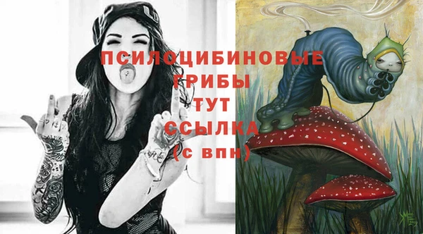 метамфетамин Аркадак