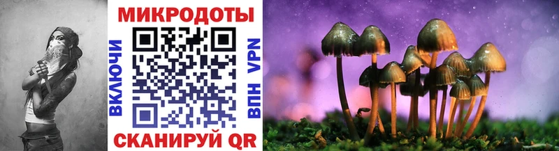 купить закладку  Омутнинск  Галлюциногенные грибы Magic Shrooms 